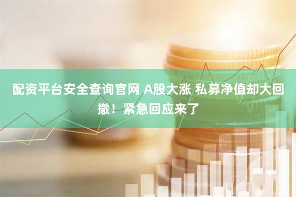配资平台安全查询官网 A股大涨 私募净值却大回撤！紧急回应来了