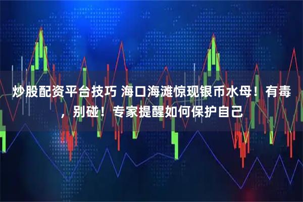 炒股配资平台技巧 海口海滩惊现银币水母！有毒，别碰！专家提醒如何保护自己