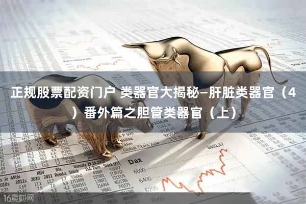 正规股票配资门户 类器官大揭秘—肝脏类器官（4）番外篇之胆管类器官（上）